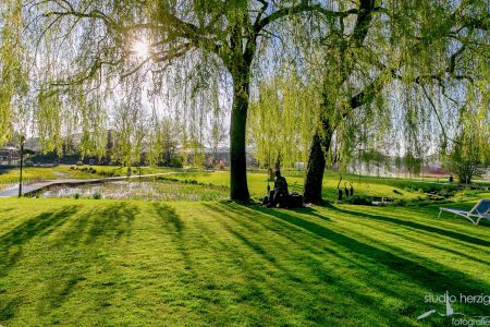 Natur und Pflanzen